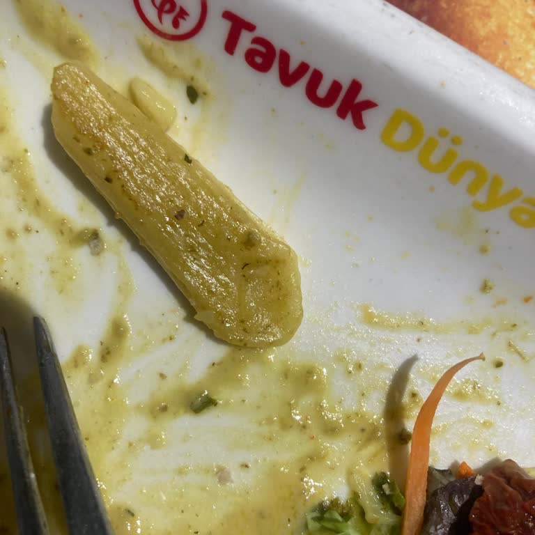 Sakarya Agora AVM Tavuk Dünyası