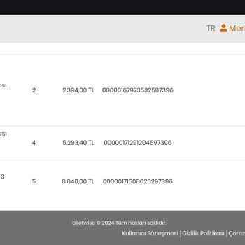Biletwise Bilet Transferi Karmaşası Ve İptal Sorunu