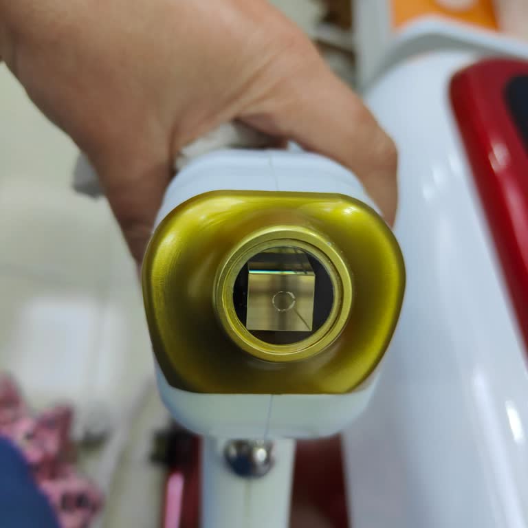 Biosiwa Firma Sorumsuzluğu