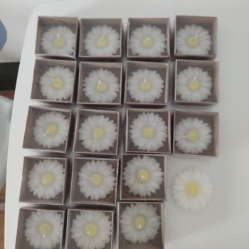 askimum Toptan Mum Alımı Mağduriyeti