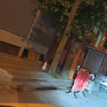 Sultangazi Belediyesi İstanbul Sultangazi İsmetpaşa Mahallesi 76 Sokak Park Sıkıntısı