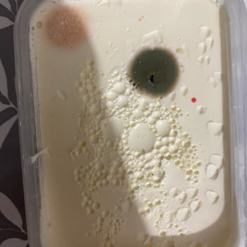 A101 Küflü Süt Türevi Ürünleri