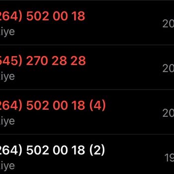 Schafer Üslup Sorunu Yalan Söyleniyor