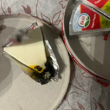 Ekici Peynir Ekici Küflü Peynir