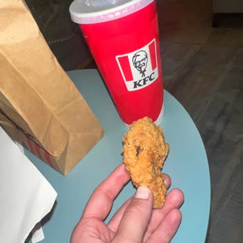 KFC'den Aldığım Tavuktan Sinek Çıktı