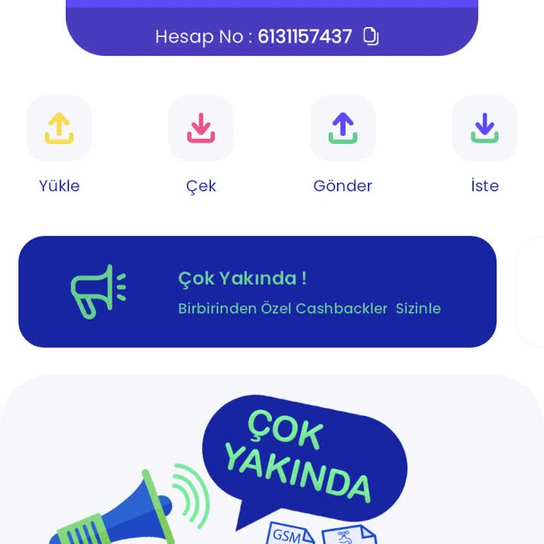 Pay Pay Şikayet Param Kayboldu
