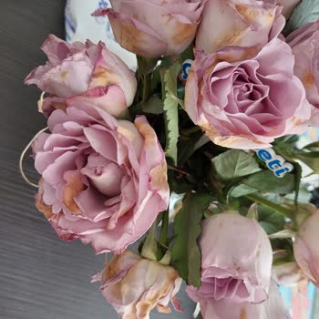 Çiçek Sepeti Sorumsuzluğu, Çöpe Giden Onca Para