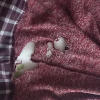 Vestel Çamaşır Makinesi Cmı 97202 Wi-Fi 9kg Çamaşırları Yırtıyor