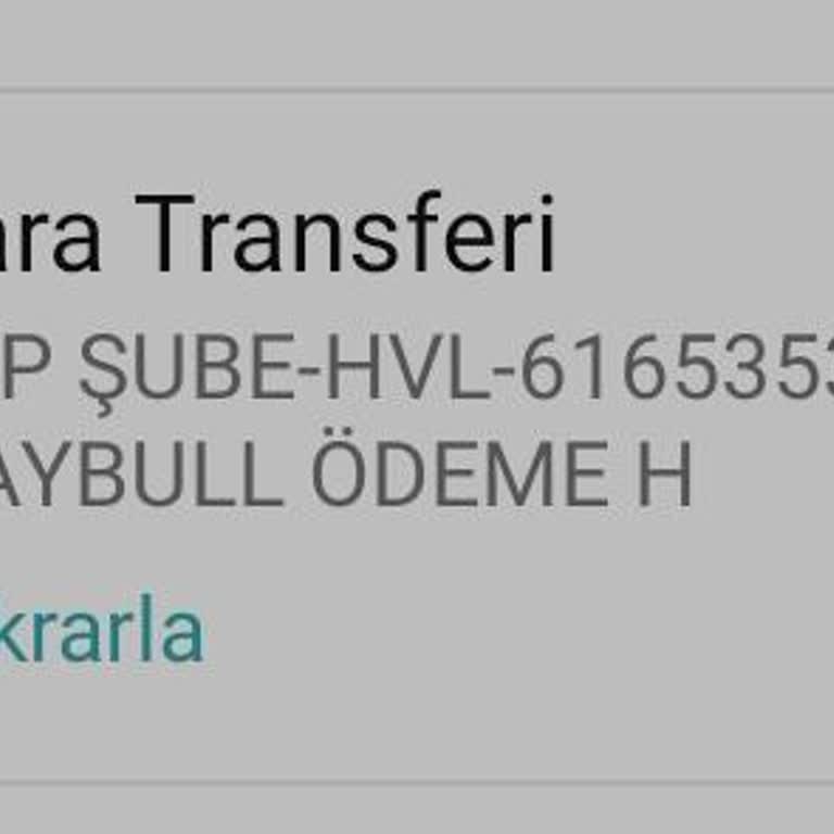 . Paypay Para Transferi