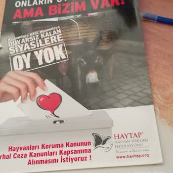 Urla Sihir Veteriner Kliniği Sorumsuzluğu