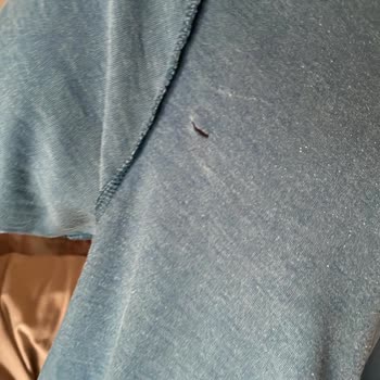 Arçelik Çamaşır Makinesi Çamaşırlarımı Yırtıyor