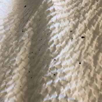 Terrible Quality Guess Handbag