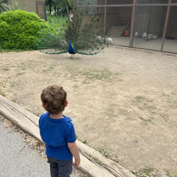 Dolu Oyuncak A. Ş. Yedek Parça Temini Talep Ediyorum