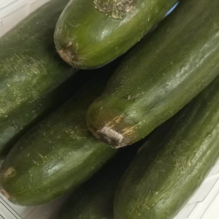 A101 Kapıda Sebze Şikayet