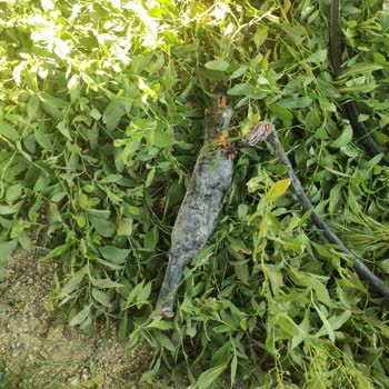 TurkNet Müşterisi Olmanın Zorluğu