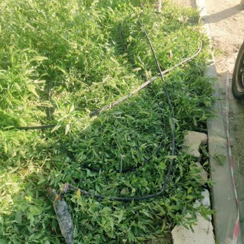 TurkNet Müşterisi Olmanın Zorluğu