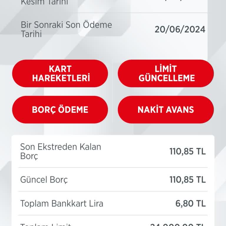 Ziraat Bankası Kredi Ekstra Borç Gözüküyor