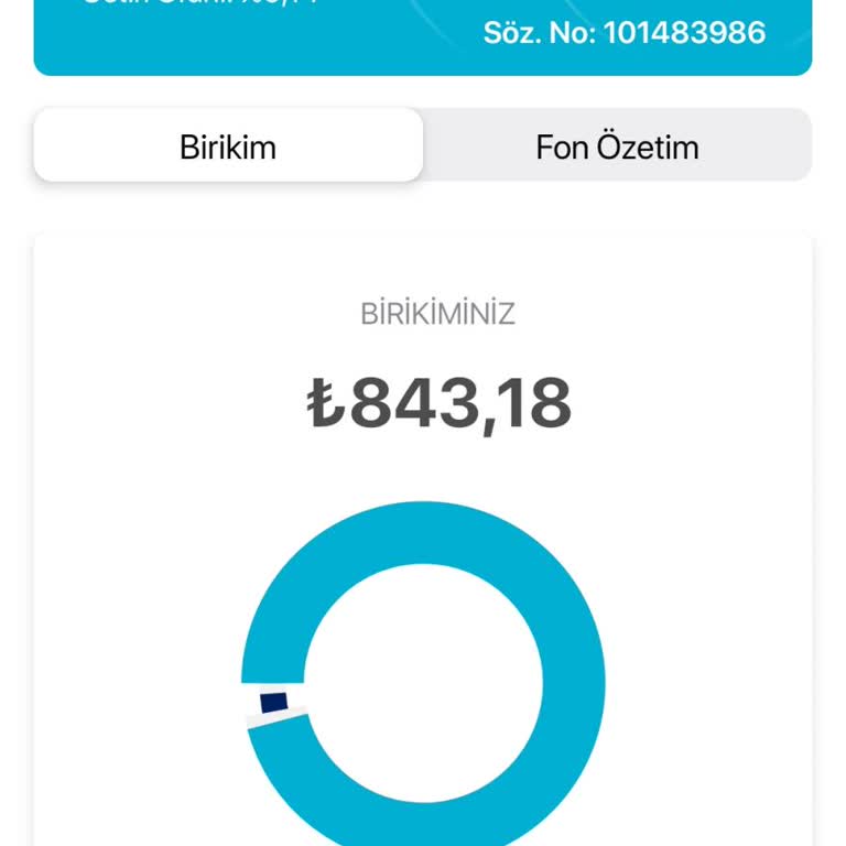 Türkiye Hayat Emeklilik BES Otomatik Katlim