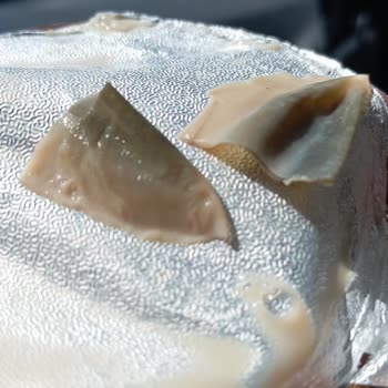 Torku Latte'de Beklenmedik Sürpriz!