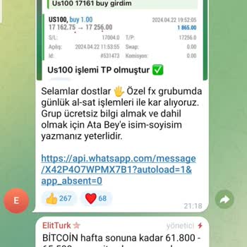 Winvest Brokers - Elit Türk - Hera Brokers Ltd. Mağduriyeti
