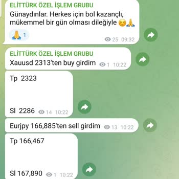 Winvest Brokers - Elit Türk - Hera Brokers Ltd. Mağduriyeti