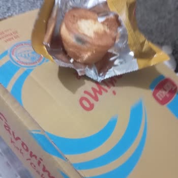 Torku Kek İn Küflü Çıkması