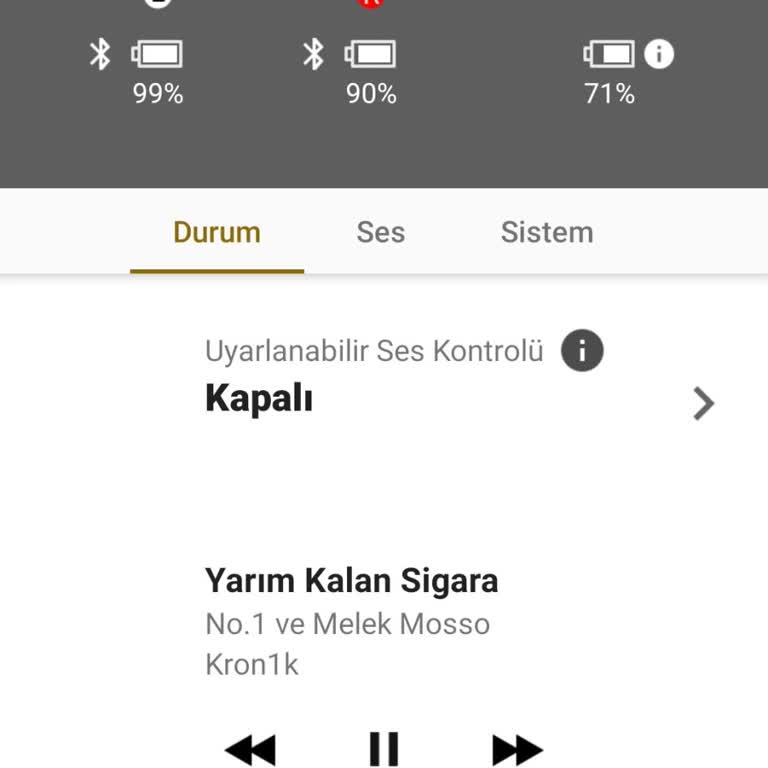 Sony Eurasia Sony Wf Xm4 Kulaklığın Sağ Bataryası Güncelleme Nedeniyle Bozuldu.