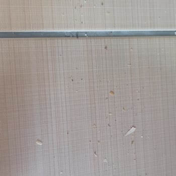 1 Ayda Performans Kaybı: Tefal Süpürge Hayal Kırıklığı