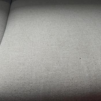 Vivense Koltukların Tüylenmesi Dağılması