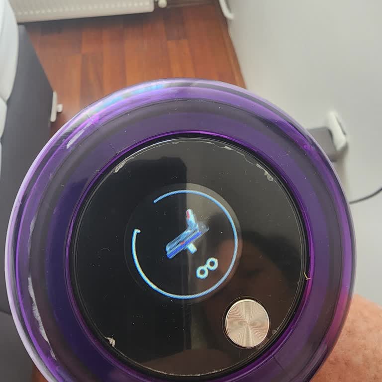 Dyson Süpürge Pişmanlık Mış.