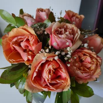 ÇiçekSepeti Hayal Kırıklığı: Beklenen Ve Alınan Ürün Farkı