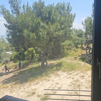 Çukurova Kaymakamlığı Orman Arazisi Şahıslarca Çevriliyor