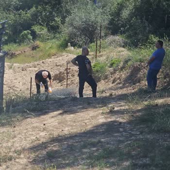 Çukurova Kaymakamlığı Orman Arazisi Şahıslarca Çevriliyor