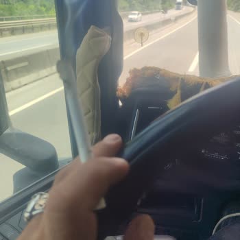 Parliament Sigarasından Tahta Çıkıyor