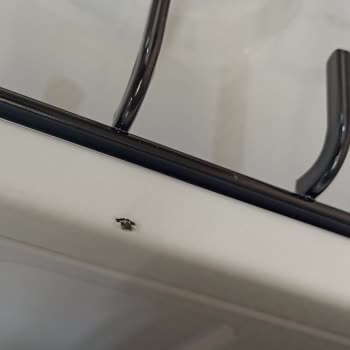 Beko Defolu Ürünü Almıyor Mağduruz