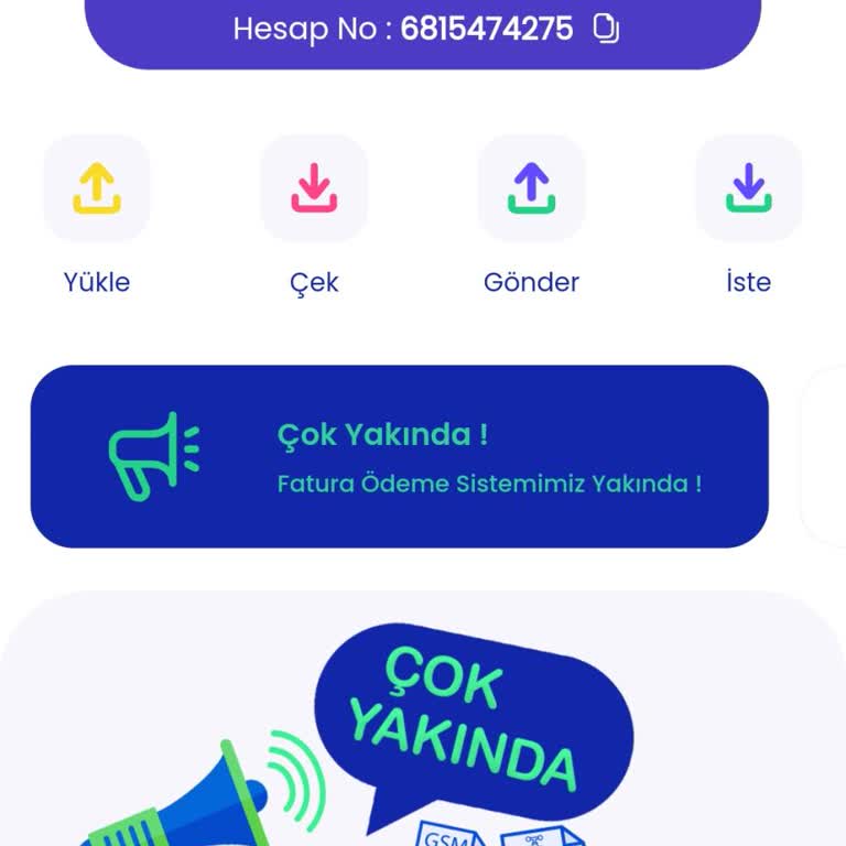 PayPay/PayBull Parama El Koydu