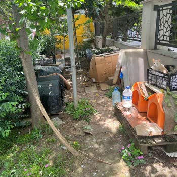 Kadıköy Belediyesi Mahalledeki Kedi Barınağı Sorunu Ve Zabıta Müdahalesi