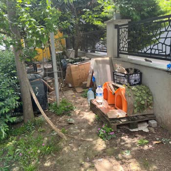 Kadıköy Belediyesi Mahalledeki Kedi Barınağı Sorunu Ve Zabıta Müdahalesi