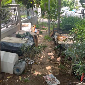 Kadıköy Belediyesi Mahalledeki Kedi Barınağı Sorunu Ve Zabıta Müdahalesi