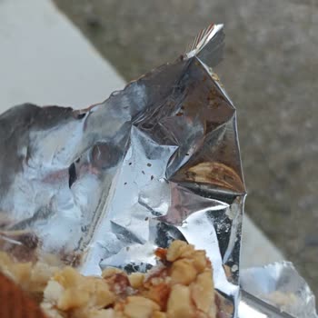 Tadım Bar Böcek Ağ Örümcek Larva