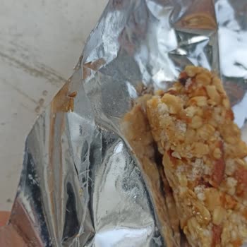 Tadım Bar Böcek Ağ Örümcek Larva