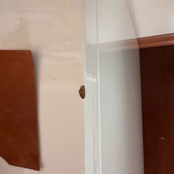 Gün Nakliyat Güvenilir Olmayan Firma!
