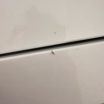 Gün Nakliyat Güvenilir Olmayan Firma!