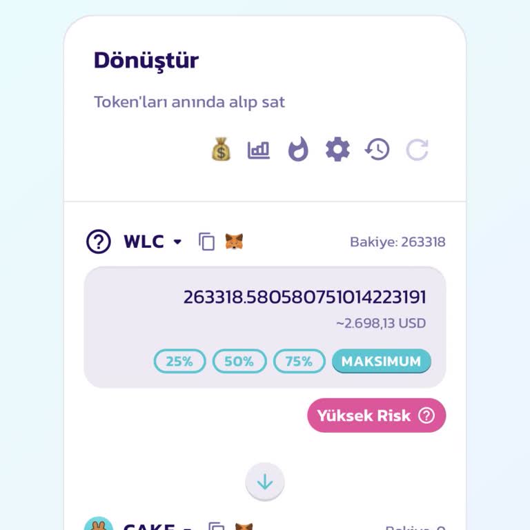 PancakeSwap İşlemlerinde Yaşanan Sorunlar