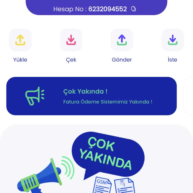 Paypay Bakiye Güncelleme Sorunu