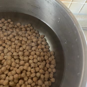 Yayla Bakliyat Yayla Koçbaşı Nohuttan Sinek Çıktı