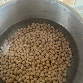 Yayla Bakliyat Yayla Koçbaşı Nohuttan Sinek Çıktı