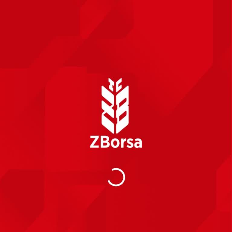 Ziraat Yatırım Z Borsa Giriş Sorunu