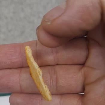 Ülkerden Şikayetçiyim Şikayetimi Gerekli Yerlere İleteceğim