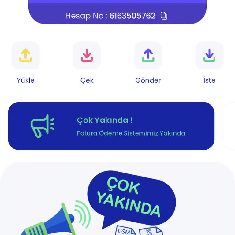 Paypay Para Hesabıma Geçmiyor.